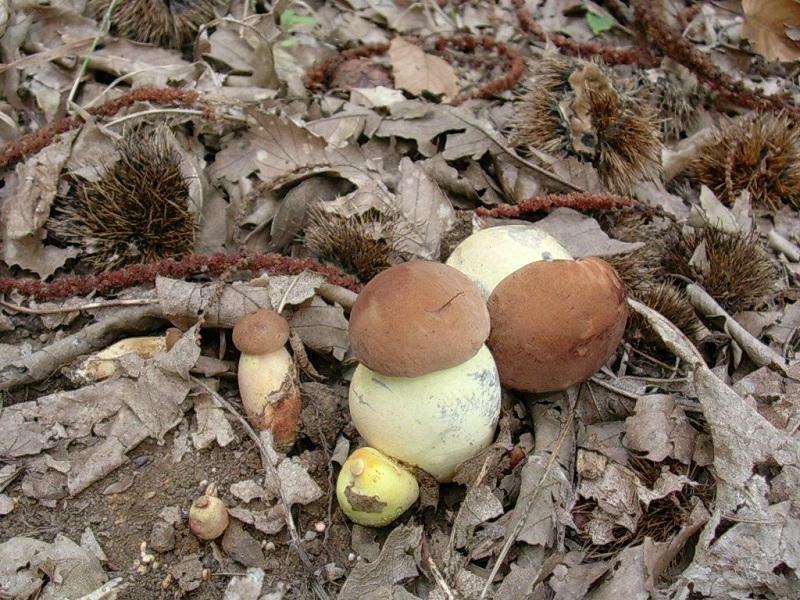 422Agosto vecchio ritrovamento